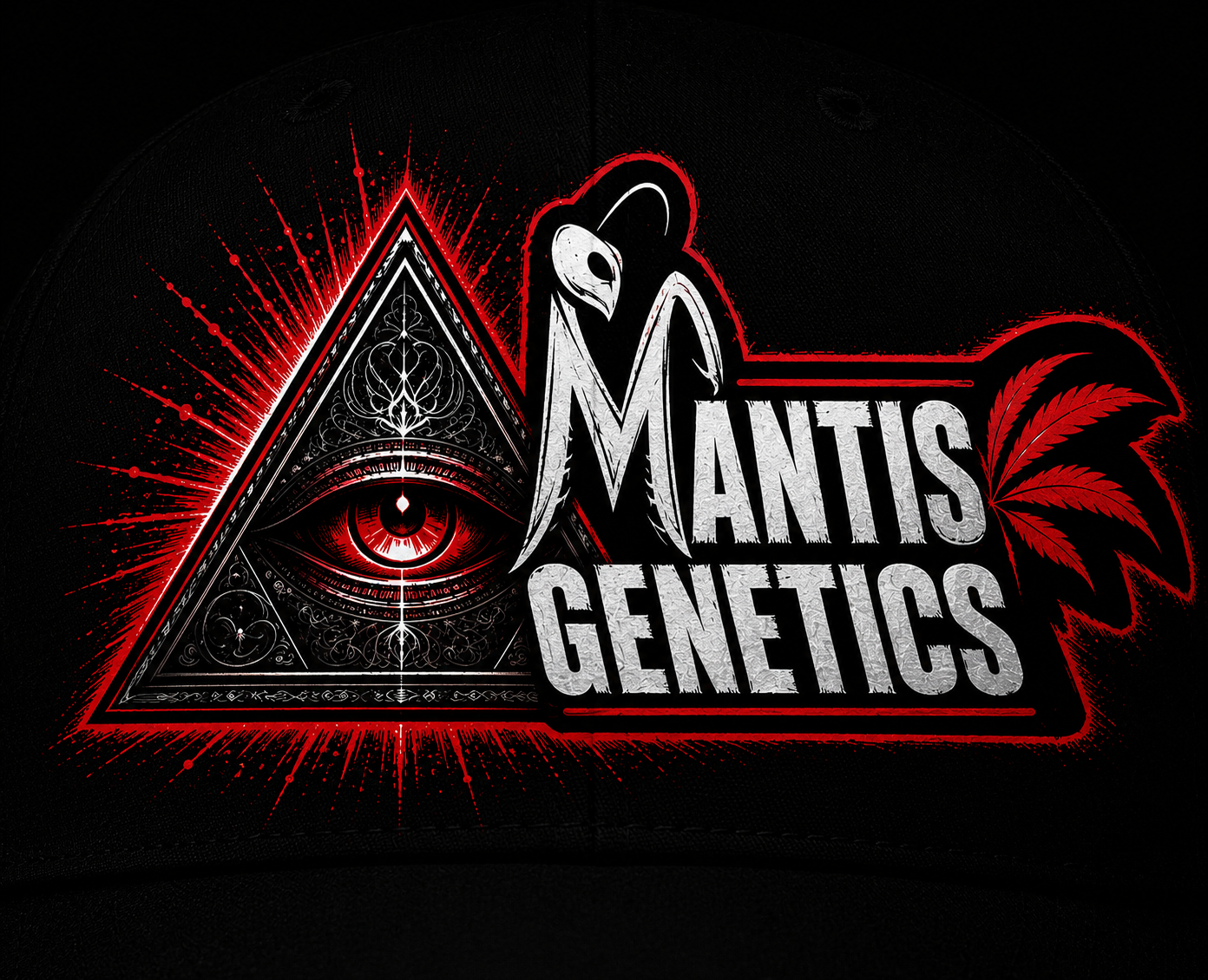 Premium Mantis Seeds - Benji‘s OG Haze - Feminized - 6 Pc‘s