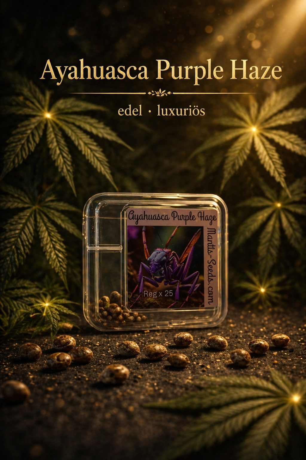 Premium Mantis Seeds - Ayahuasca Purple Haze - Regular - 6 Pc‘s