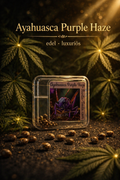 Premium Mantis Seeds - Ayahuasca Purple Haze - Regular - 6 Pc‘s