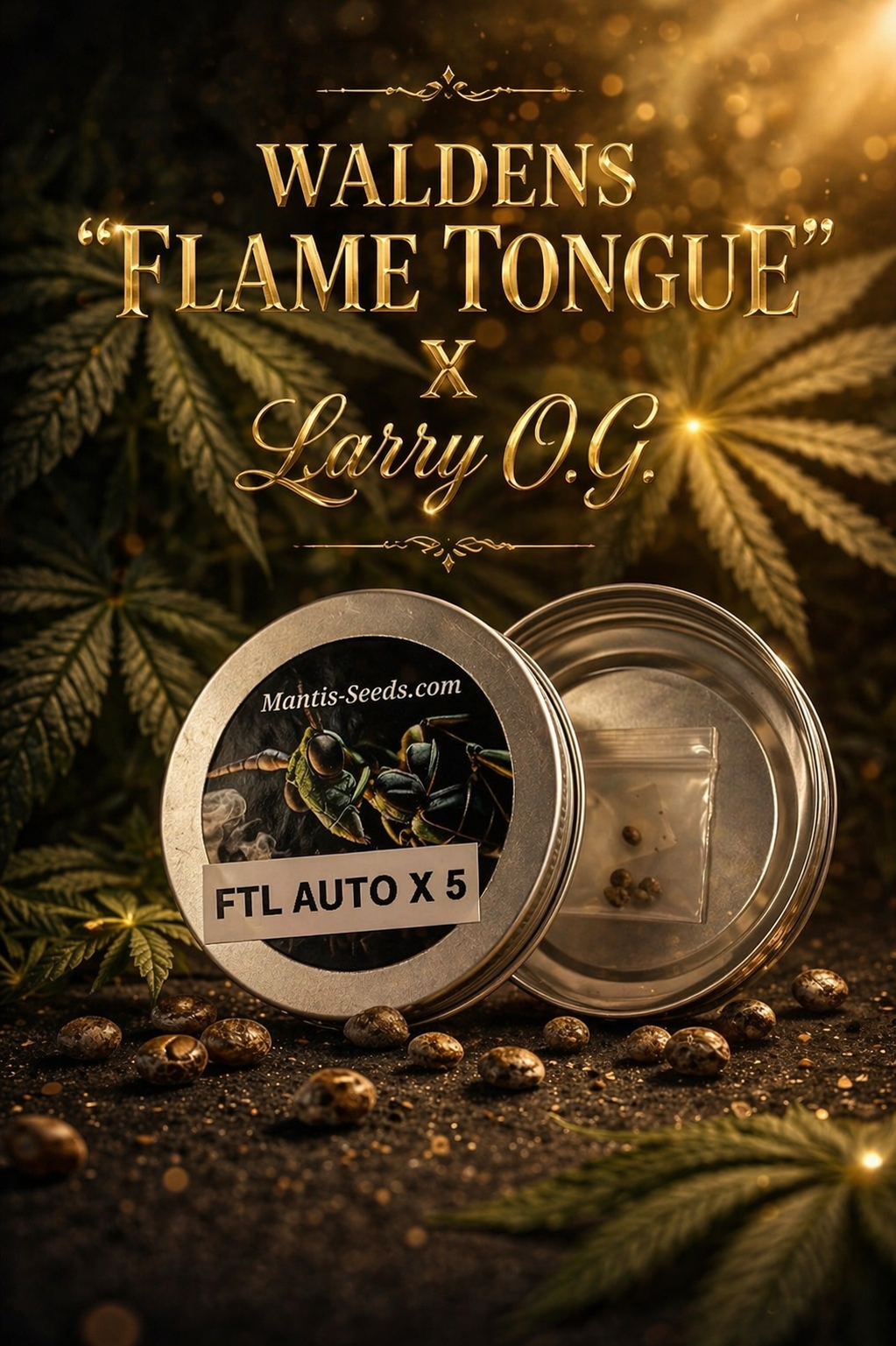 Premium Mantis Seeds - Autoflower - WALDENS "FLAME TONGUE" X  Larry O.G. - 5 Pc‘s