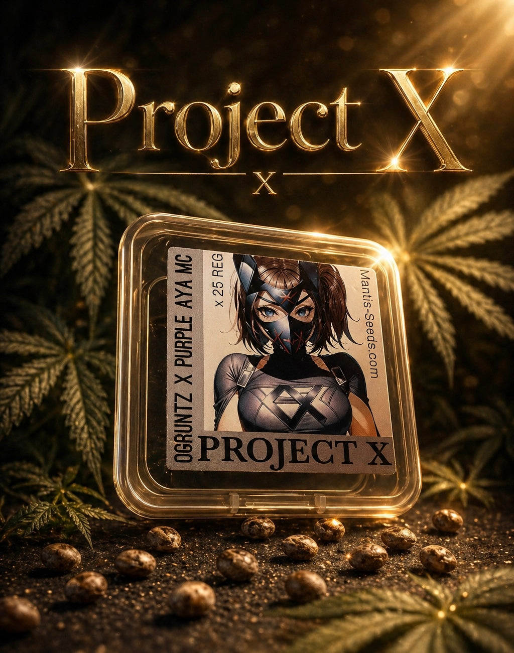 Premium Mantis Seeds - Project X -O.G. Kush x Runtz x Ayahuasca Purple Haze x Moon Cookies - Regular - 6 Pc‘s
