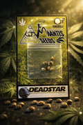 Premium Mantis Seeds - Deadstar Feminized - 6 Pc‘s