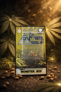 Premium Mantis Seeds - Monster Jedi Feminized - 6 Pc‘s