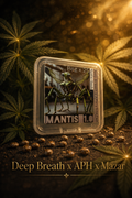 Premium Mantis Seeds - Deep Breath x APH x Mazar - Regular - 6 Pc‘s