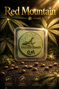 Premium Mantis Seeds - Red Mountain - Regular - 6 Pc‘s