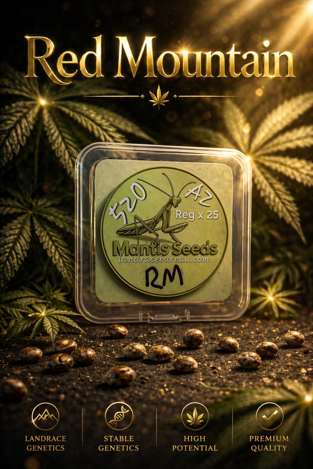 Premium Mantis Seeds - Red Mountain - Regular - 6 Pc‘s